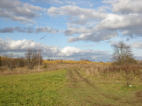 Дорога на Гектар 2